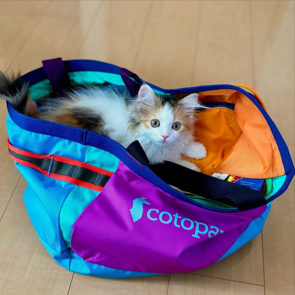 買ってよかった!Pi's COTOPAXI 🐣