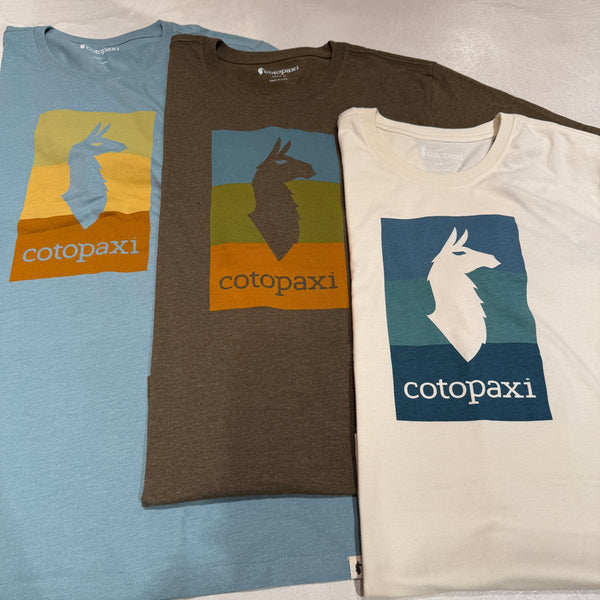 これから活躍するTシャツたち🦙🌈