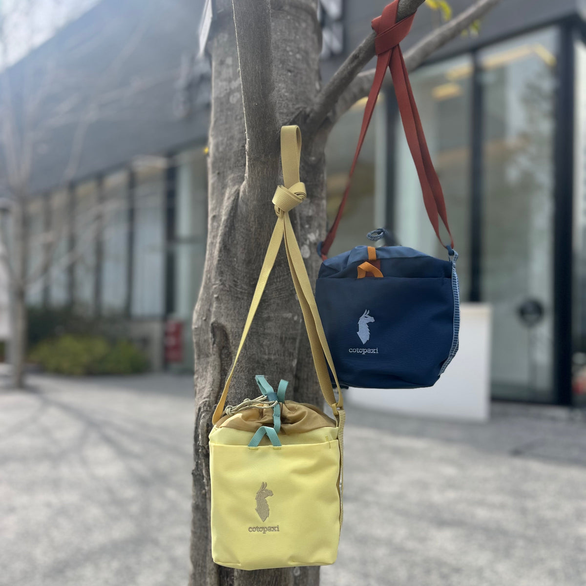 春のお出かけにぴったり!Todo 3L Bucket Bag🌸