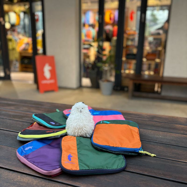 What’s in my CUBO🫣？