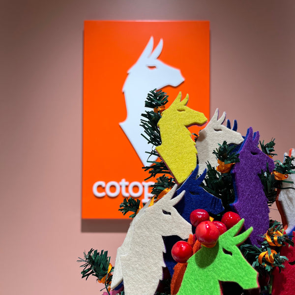 クリスマスが今年もやってくる