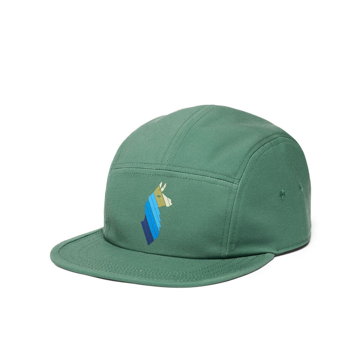 Llama Stripes 5 Panel Hat - SALE
