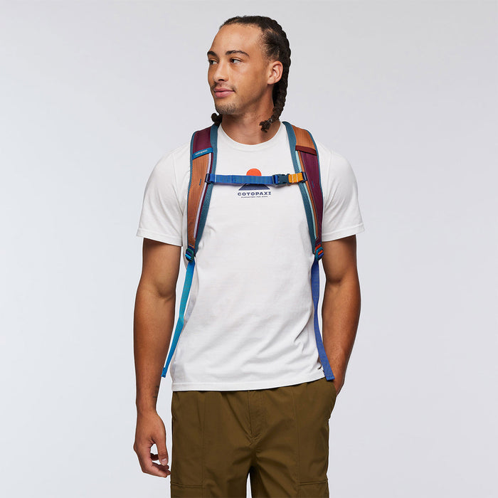 Allpa 26L Daypack - Del Día【Surprise Me】 – Cotopaxiオフィシャル