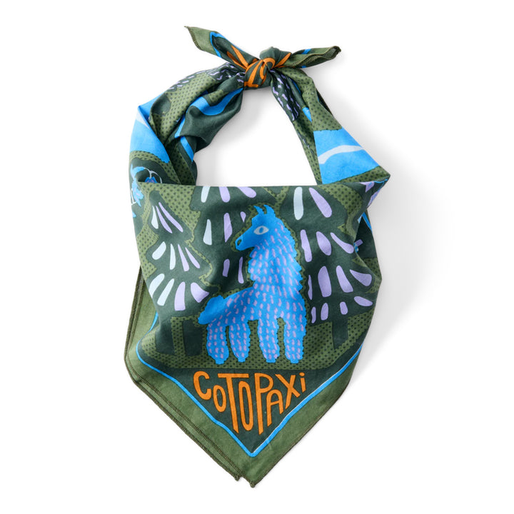 Organic Cotton Bandana