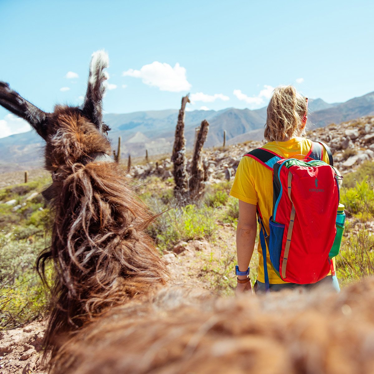 Batac 16L Backpack - Del Día